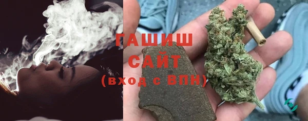 СК Алексин