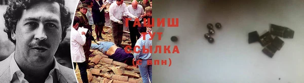 СК Алексин