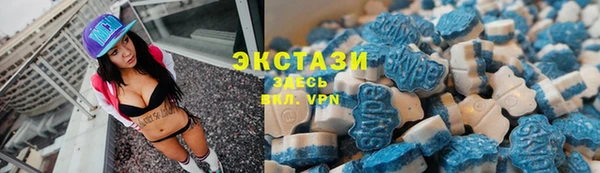 СК Алексин