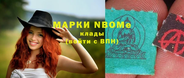 СК Алексин